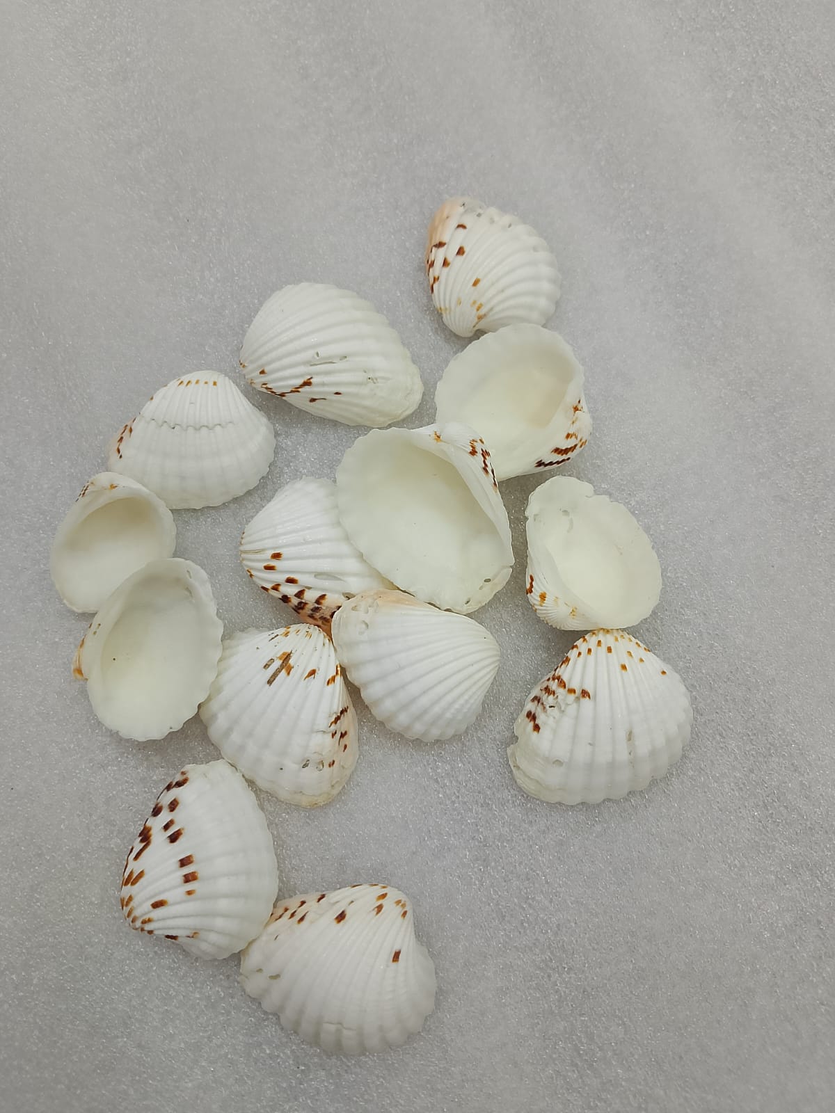 OCEAN  ITEM  K PACK OF  40 TO  50GM