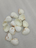 OCEAN  ITEM  K PACK OF  40 TO  50GM