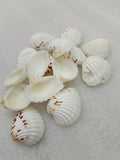 OCEAN  ITEM  K PACK OF  40 TO  50GM