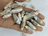 OCEAN  ITEM  L PACK OF  40 TO  50GM