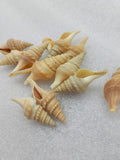 OCEAN  ITEM  P PACK OF  40 TO  50GM