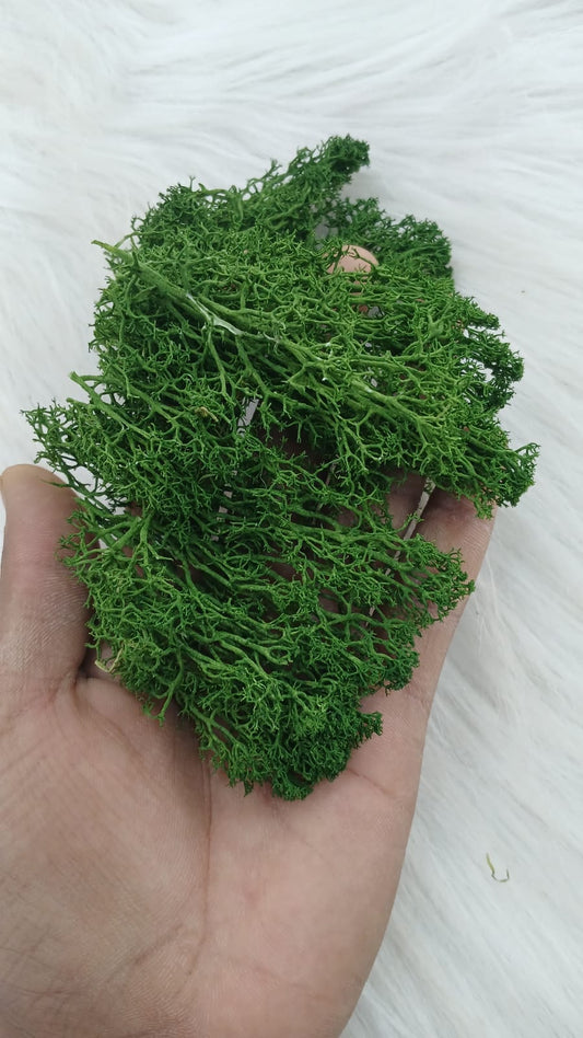 ARTIFICIAL MOSS 10GM BOX