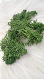 ARTIFICIAL MOSS 10GM BOX