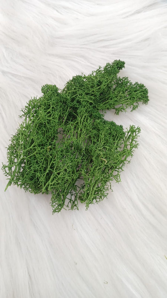 ARTIFICIAL MOSS 10GM BOX