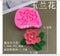 J156271C PINK FLOWER  MOLD/MOULD (Copy)