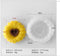 1561112  ROUND SUN FLOWER MOLD/MOULD