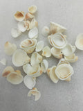 OCEAN  ITEM  D PACK OF  40 TO  50GM