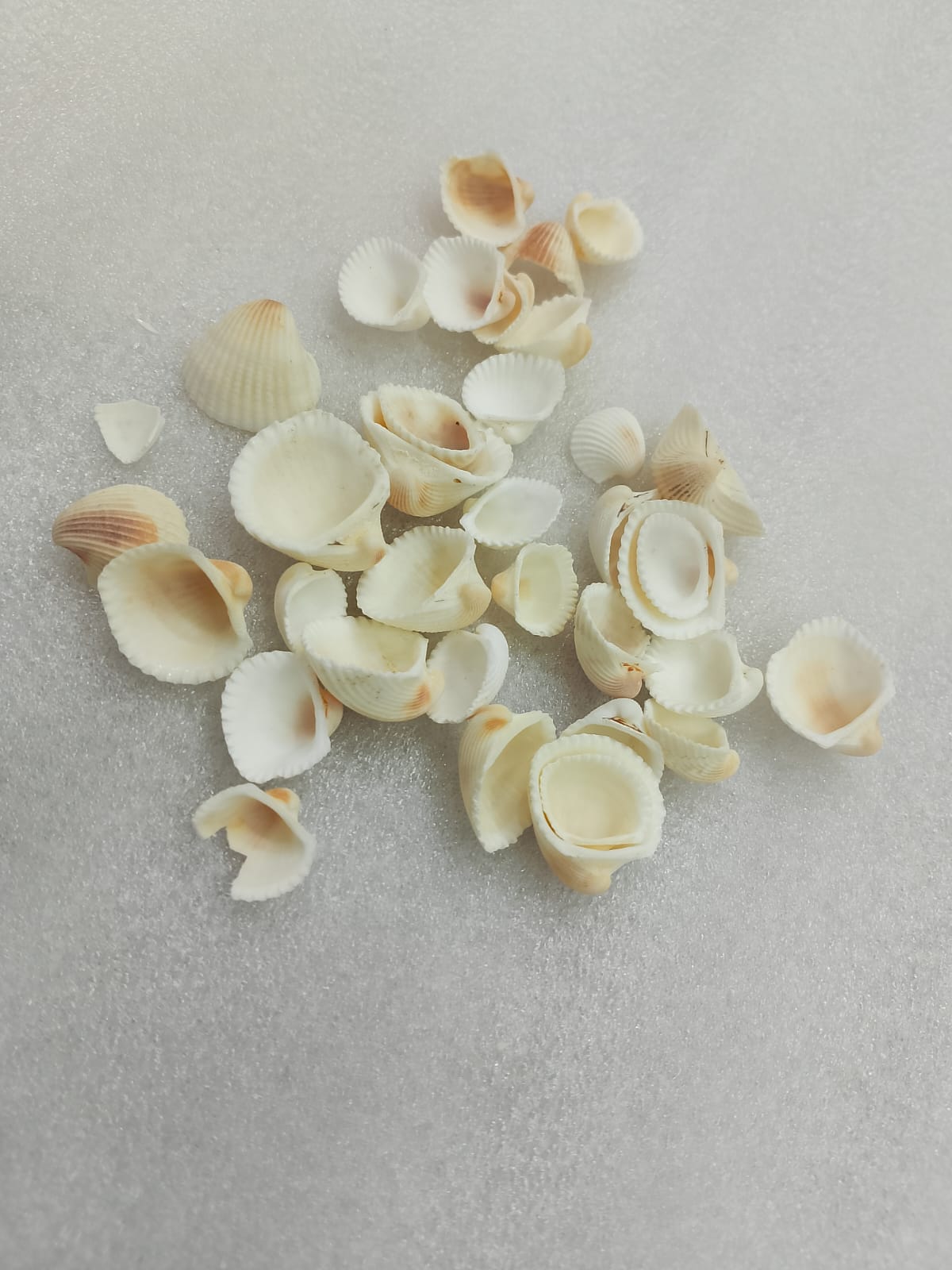 OCEAN  ITEM  D PACK OF  40 TO  50GM