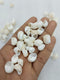 OCEAN  ITEM  E  PACK OF  40 TO  50GM
