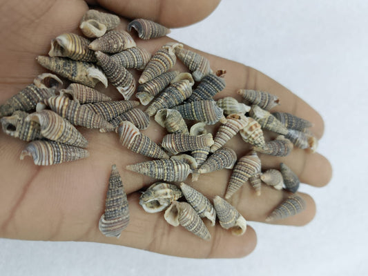 OCEAN  ITEM  I PACK OF  40 TO  50GM