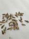OCEAN  ITEM  I PACK OF  40 TO  50GM