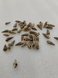 OCEAN  ITEM  I PACK OF  40 TO  50GM