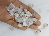 OCEAN  ITEM  N PACK OF  40 TO  50GM