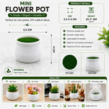 FLOWER  POT  FOR  PIPR CLEANER  ART