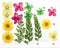 FL009 10 IN 1 PRESSED FLOWER
