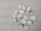 OCEAN  ITEM  O PACK OF  40 TO  50GM