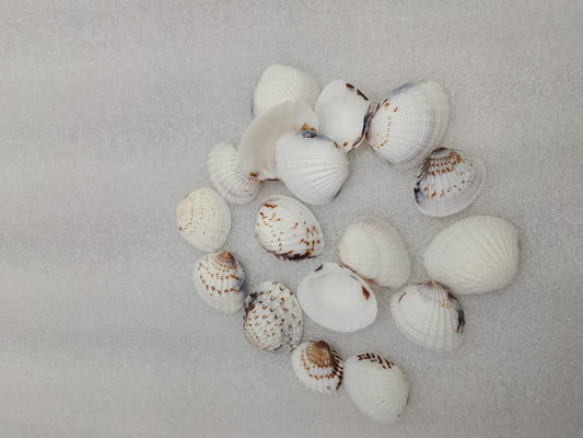 OCEAN  ITEM  O PACK OF  40 TO  50GM