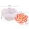 HM0054 3D Flower Handmade Mould