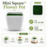 FLOWER  POT  FOR  PIPR CLEANER  ART