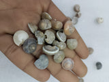 OCEAN  ITEM  C PACK OF  40 TO  50GM