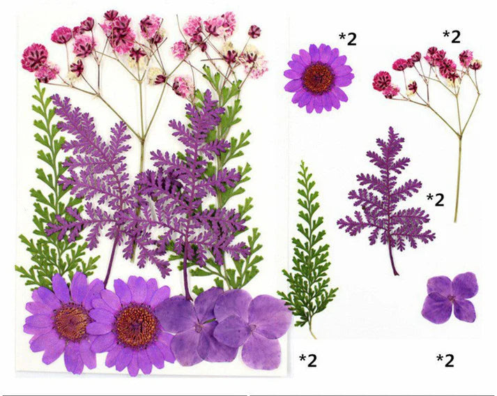 10 In 1 Pressed Flowers Fl006