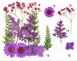 10 In 1 Pressed Flowers Fl006