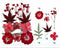 12 In 1 Pressed Flowers Fl025