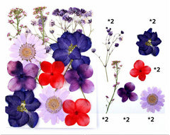 12 In 1 Pressed Flowers Fl027