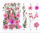 21 In 1 Pressed Flowers Fl049