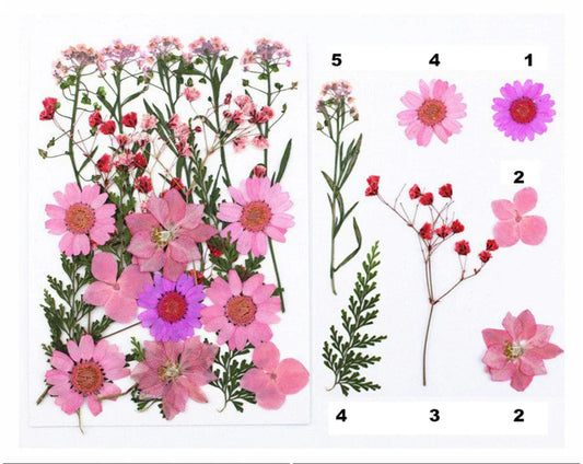 21 In 1 Pressed Flowers Fl049