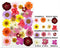 FL098 33 IN  1  PRESSED  FLOWER