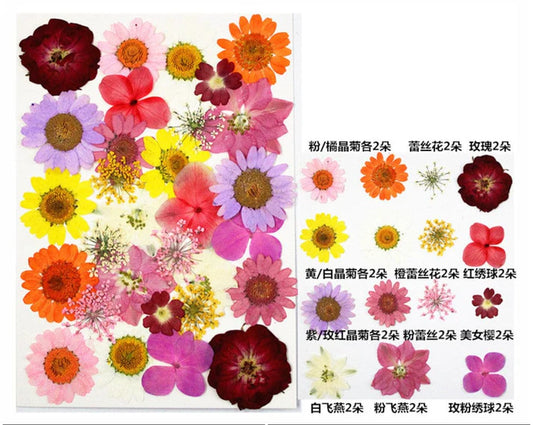 FL098 33 IN  1  PRESSED  FLOWER