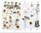 40 In 1 Pressed Flowers fl150