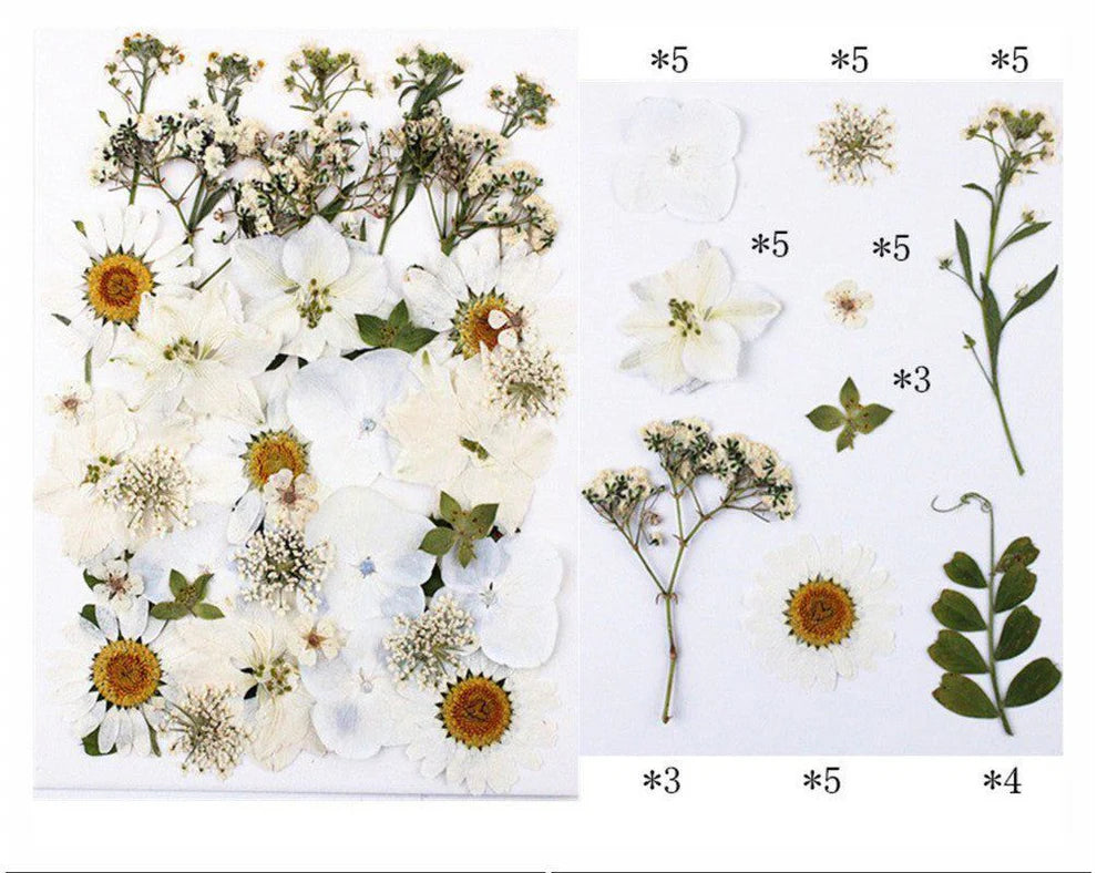 40 In 1 Pressed Flowers fl150
