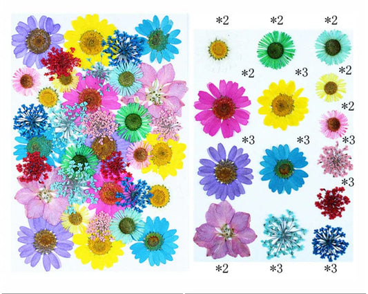 35 In 1 Pressed Flowers Fl166