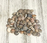 OT A OCEAN ITEM