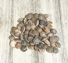 OT A OCEAN ITEM