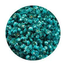 Dried  Flowers - Dark Teal