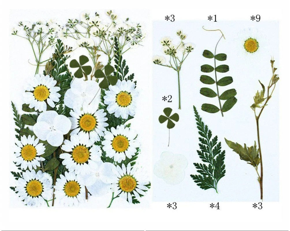 25 In 1 Pressed Flowers FL078