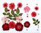 FL032 13 IN  1  PRESSED FLOWER