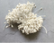 IMP POLLENS  FOR PIPE  CLEANER  IN 1  PACK OF  250PC  APPROX  Size:- 3mm Approx.
