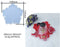 SMALL 5 KALI FLOWER COASTER MOULD